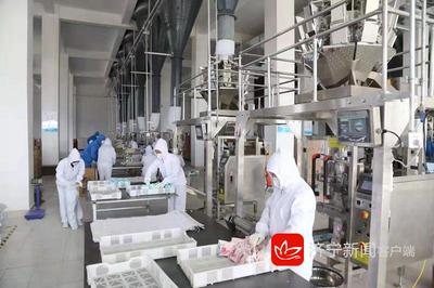 2019年濟寧市新舊動能轉換現(xiàn)場觀摩團走進嘉祥